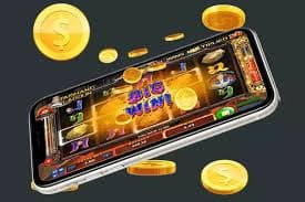 nn55bet